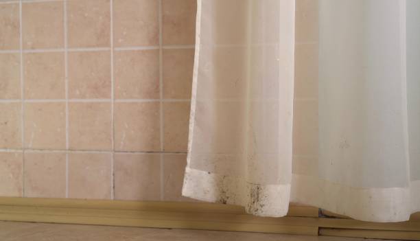 Best Real Estate Mold Inspection  in Pottsgrove, PA