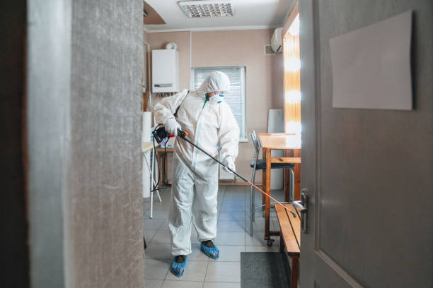 Professional Mold Removal in Pottsgrove, PA