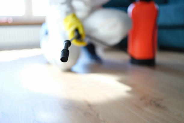 Best Mold Documentation for Insurance Claims  in Pottsgrove, PA